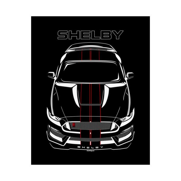 Ford Mustang Shelby GT350R 2015-2020 Black Stripes Poster 16 x 20 inch by Auto Art Apparel