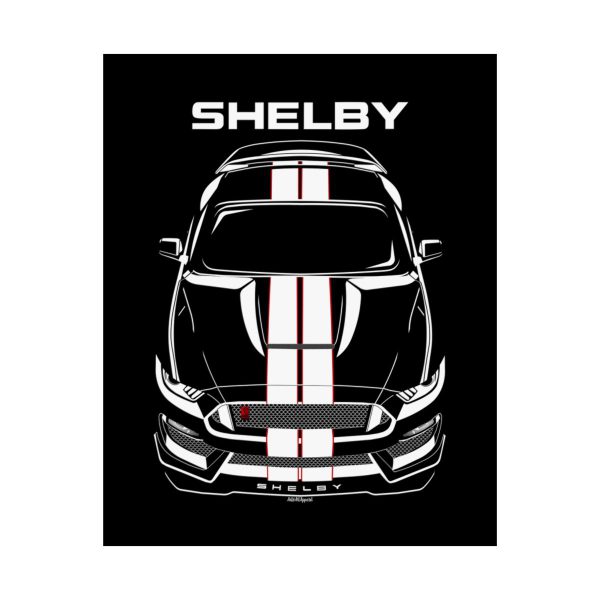 Ford Mustang Shelby GT350R 2015-2020 White Stripes Poster 16 x 20 inch by Auto Art Apparel